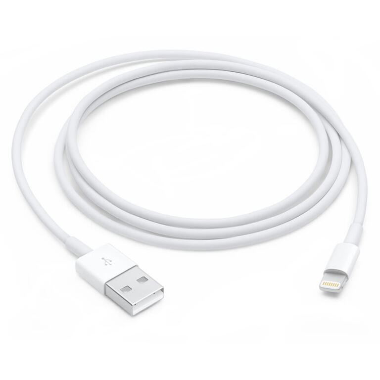 Cable Lightning vers USB (1m)