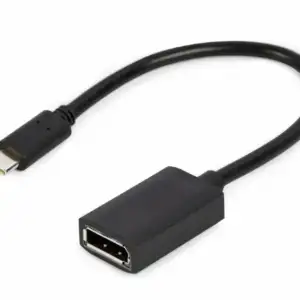 Adaptateur USB-C vers DisplayPort M/F - 15Cm